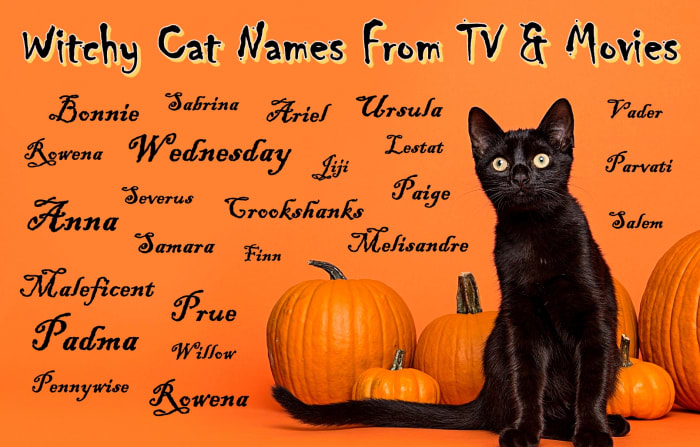 Witchy Cat Names Parade Pets