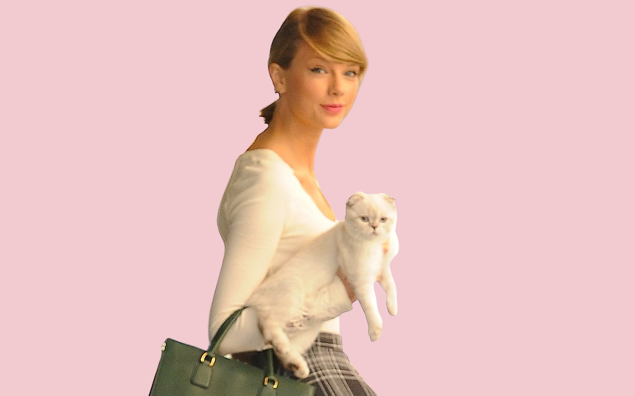 taylor-swift-s-cats-names-breeds-fun-facts-parade-pets