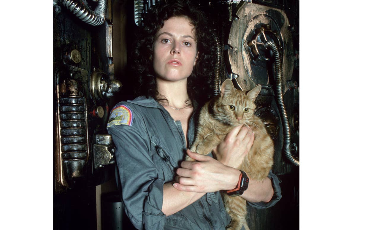 Cats Become the Stars of the Show in These Cat Movies—Best Cat Movies ...