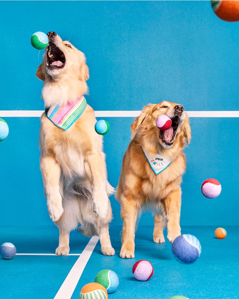 Target Launches New 'Cuddle Collab' Pet Collection & It's The Stuff ...