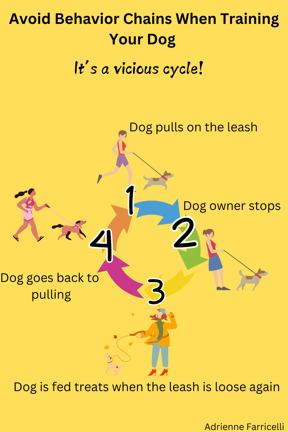 How to Stop Your Dog From Pulling on the Leash (Trainer-Approved ...