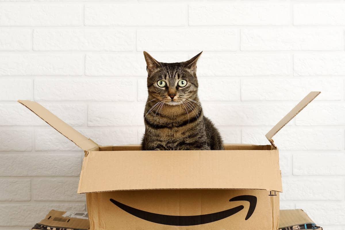 Amazon s Woolygon Cat Cave Is A Must Have Parade Pets amazon-s-woolygon-cat-cave-is-a-must-have-parade-pets