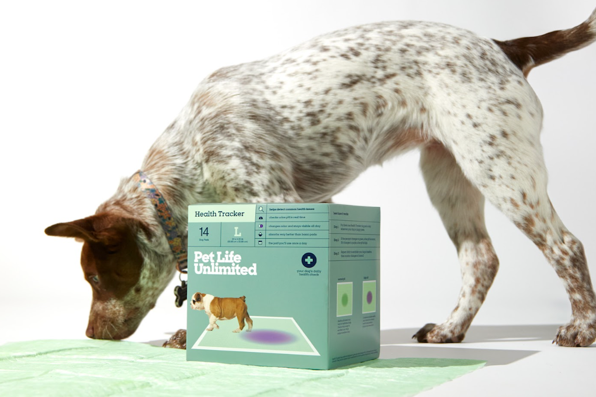 New 'Health-Tracking' Puppy Product Could Legit Be Life Savers for Dog ...