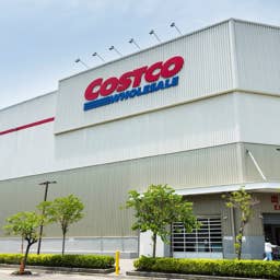 Pet Parents Are Stocking Up on This $37 Costco Find Before Fireworks Season
