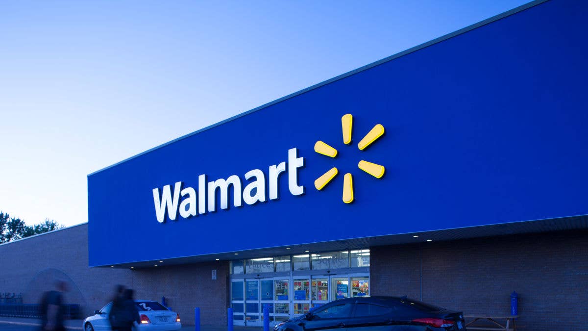 Walmart's Cute Cat-Shaped Wild Bird Feeder Is a Work of Art - Parade Pets