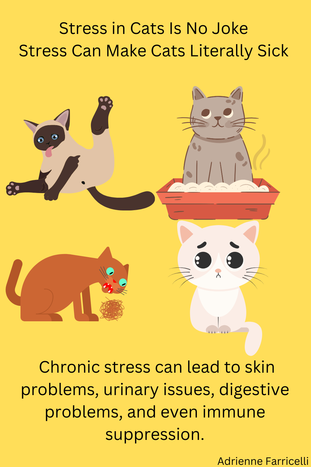 11 Signs of Stress in Cats Pet Parents Should Never Ignore - Parade Pets