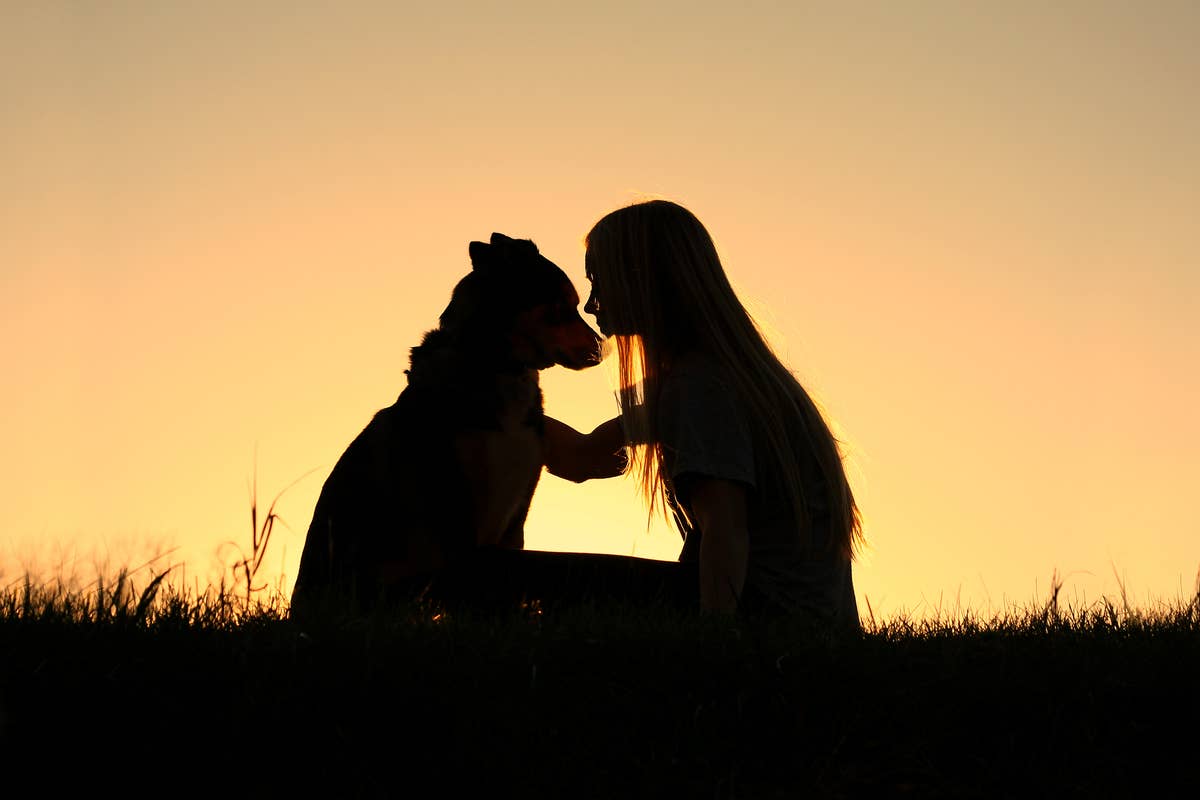 update-on-shut-down-rescue-dog-who-went-viral-is-making-everyone-so