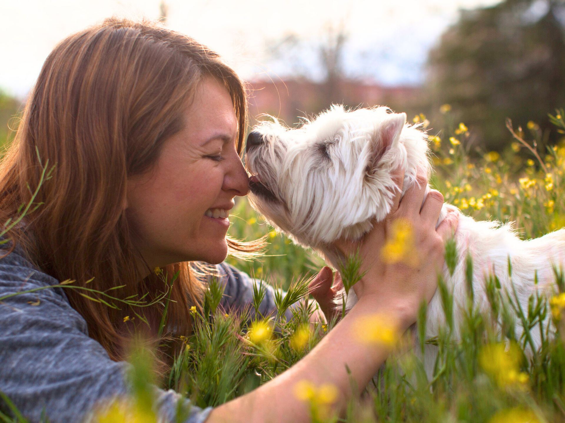Discovering the Charm - Types of White Dogs That Capture Hearts Worldwide