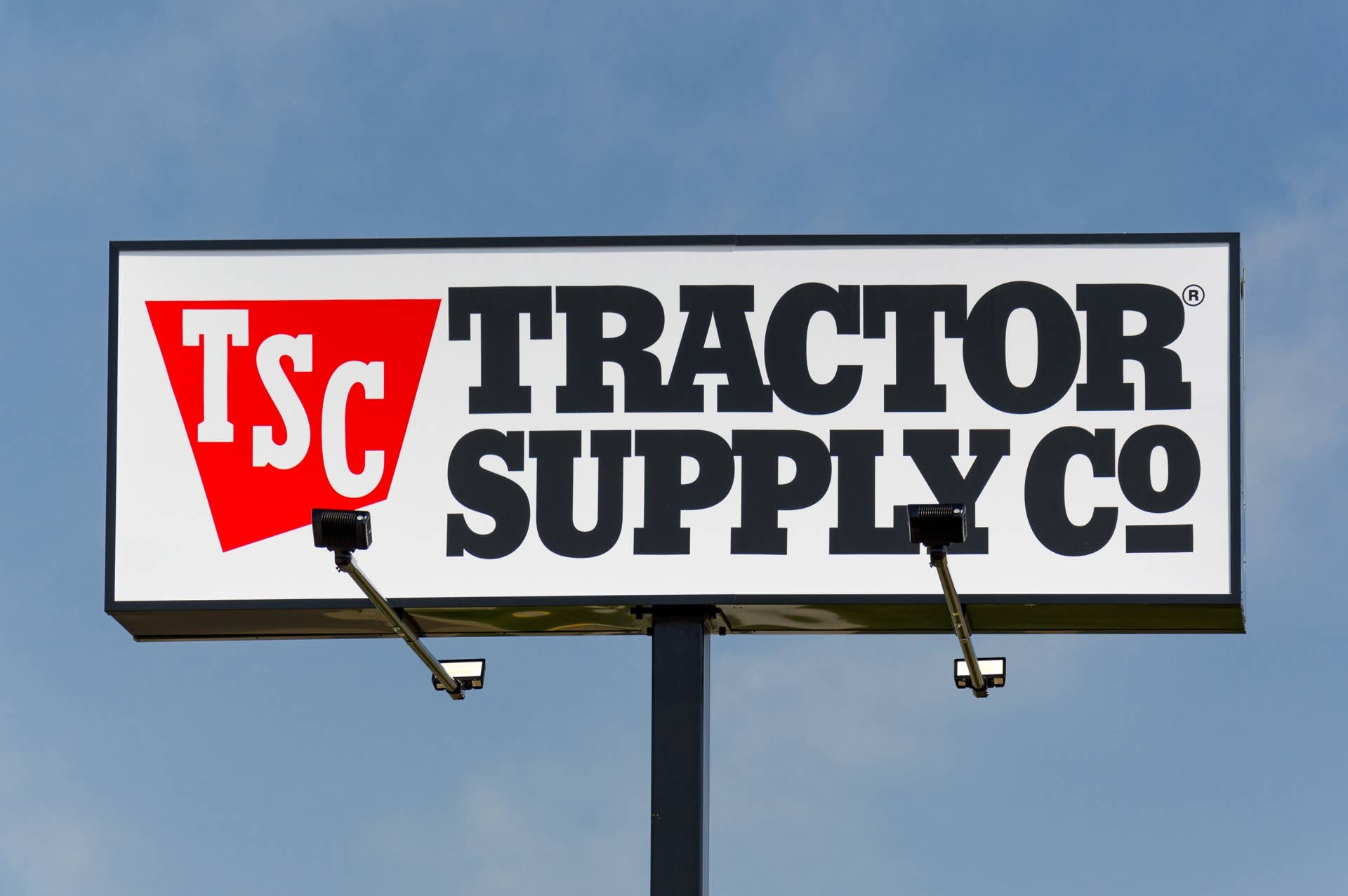 Tractor Supply's Exclusive Cat Tower Has Plush Beds & Sturdy Scratchers