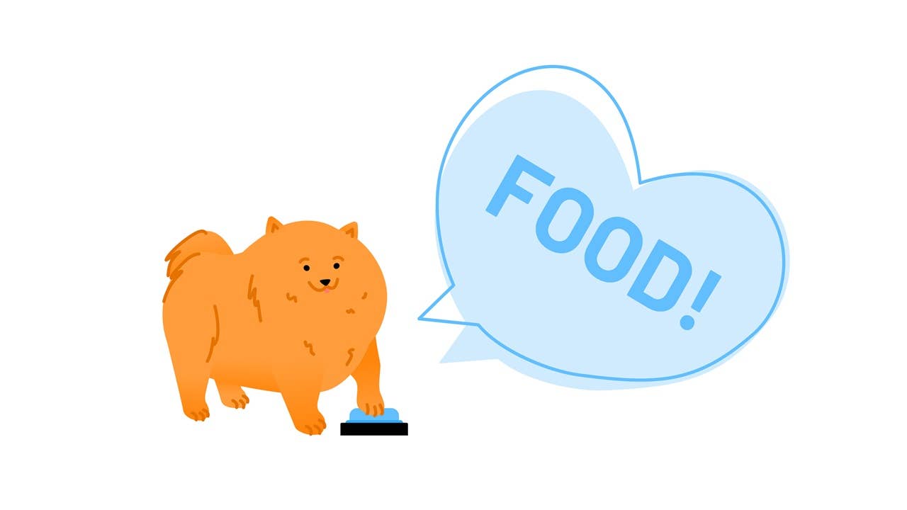 6 Expert-Backed Ways Dog Talking Buttons Build Your Bond - Parade Pets
