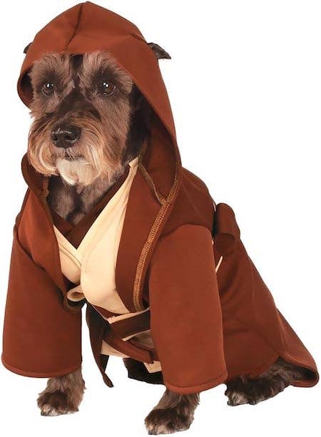 13 Best 'Star Wars' Costumes for Dogs This Halloween - Parade Pets