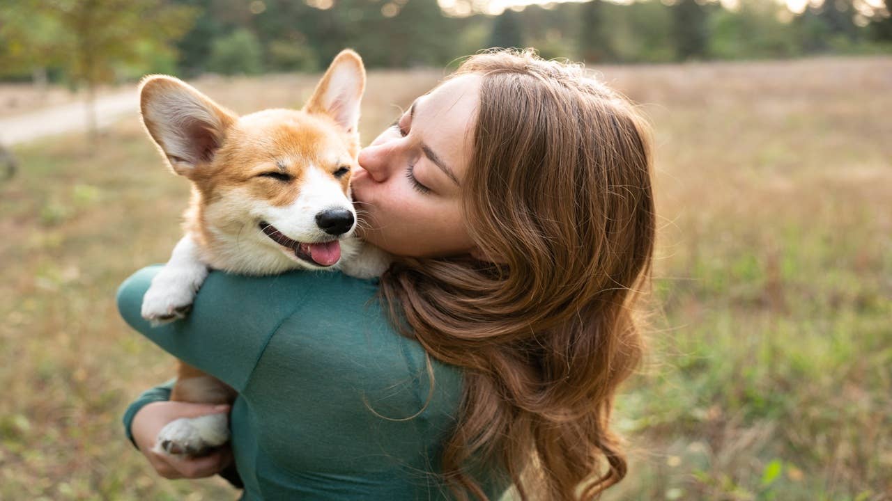 National Dog Week 2025: History, Fun Ways to Celebrate - Parade Pets