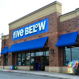 Five Below’s $5 Kit Makes Dog Dental Care a Breeze
