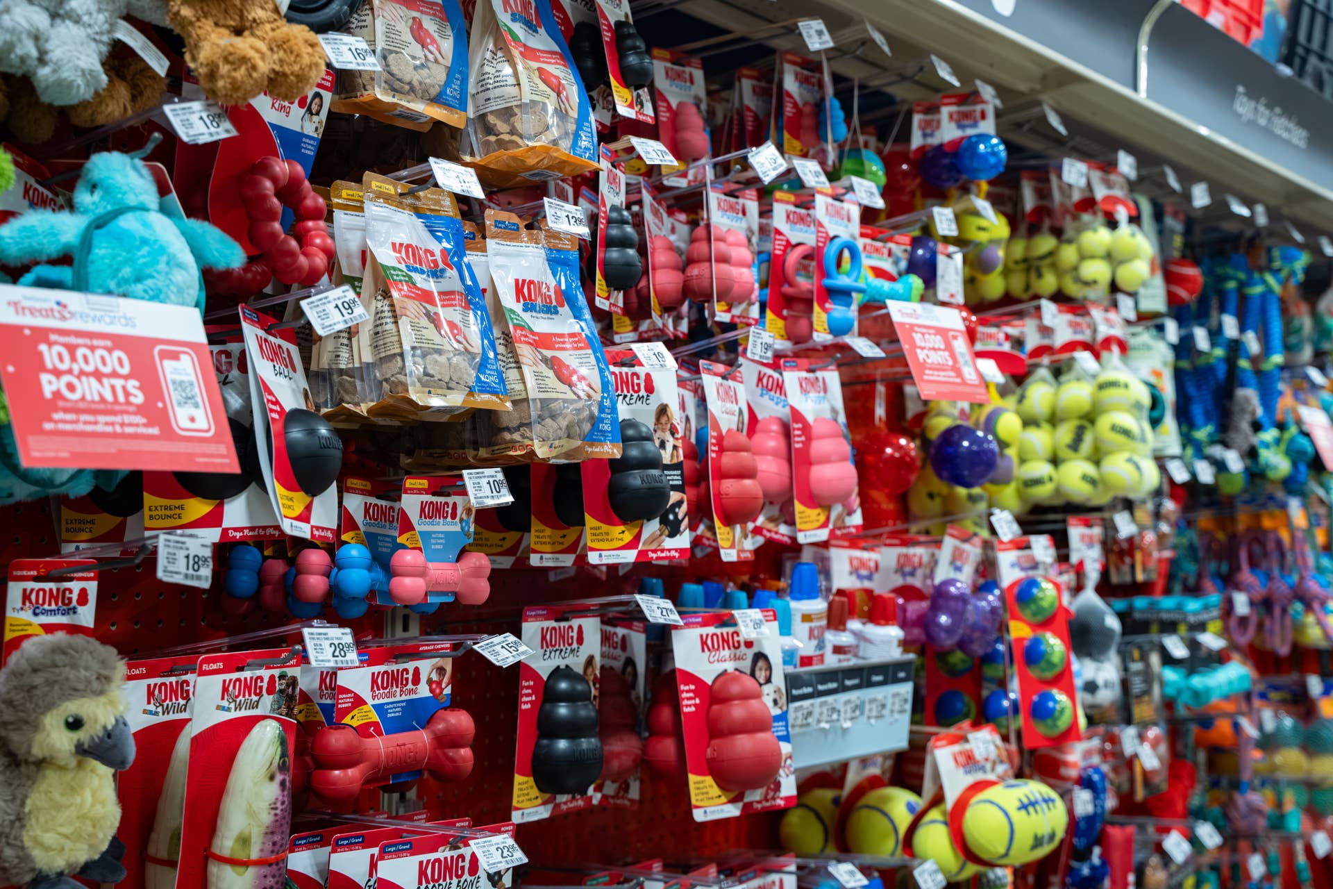 kong-s-waterproof-dog-toy-is-durable-flexible-and-ready-for-fun