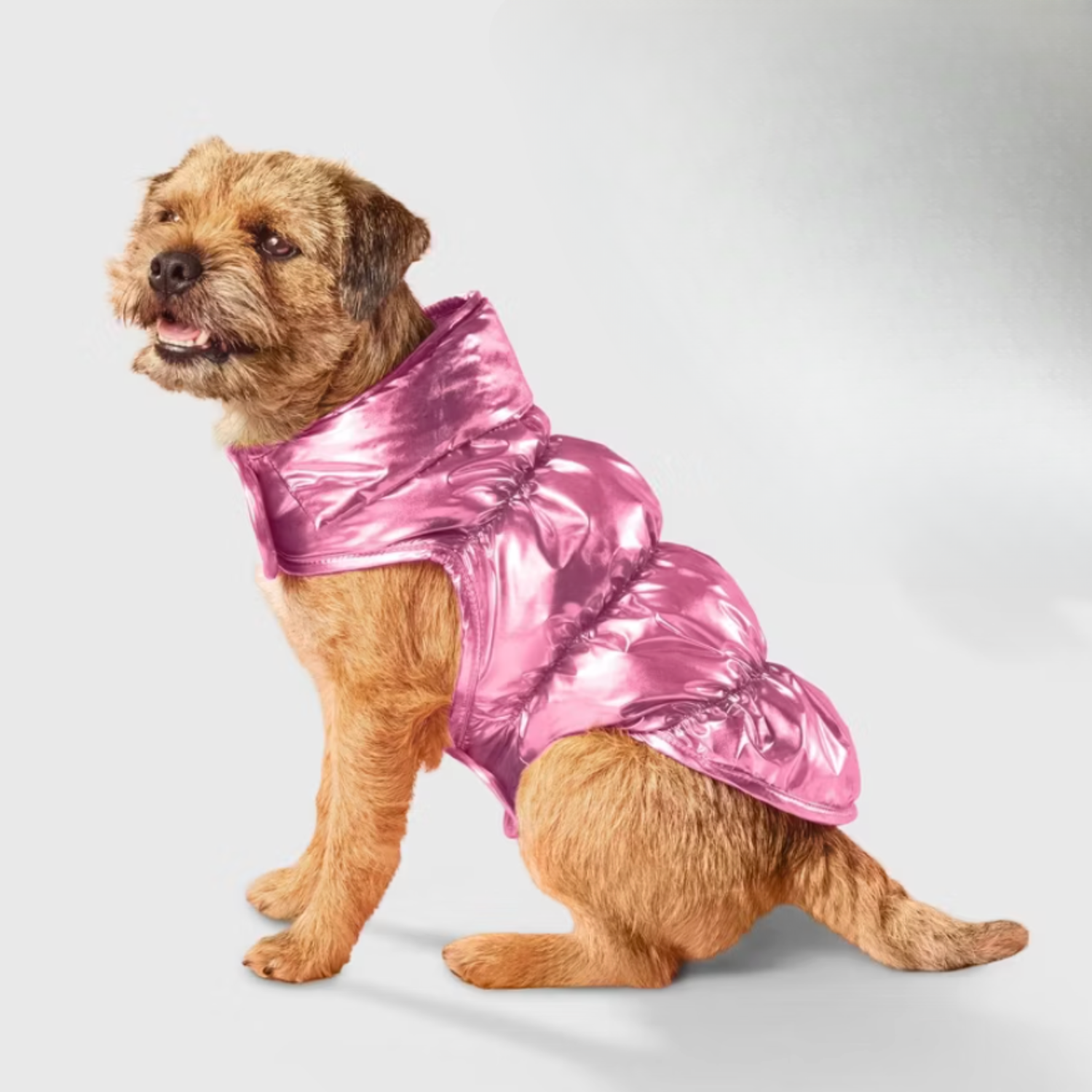 Target's Adorable $15 Metallic Puffer Dog Vests are Selling Fast ...