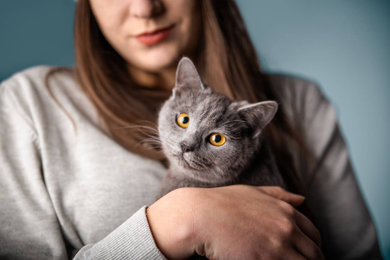 5 Signs Your Cat Is Protecting You, According to Experts - Parade Pets