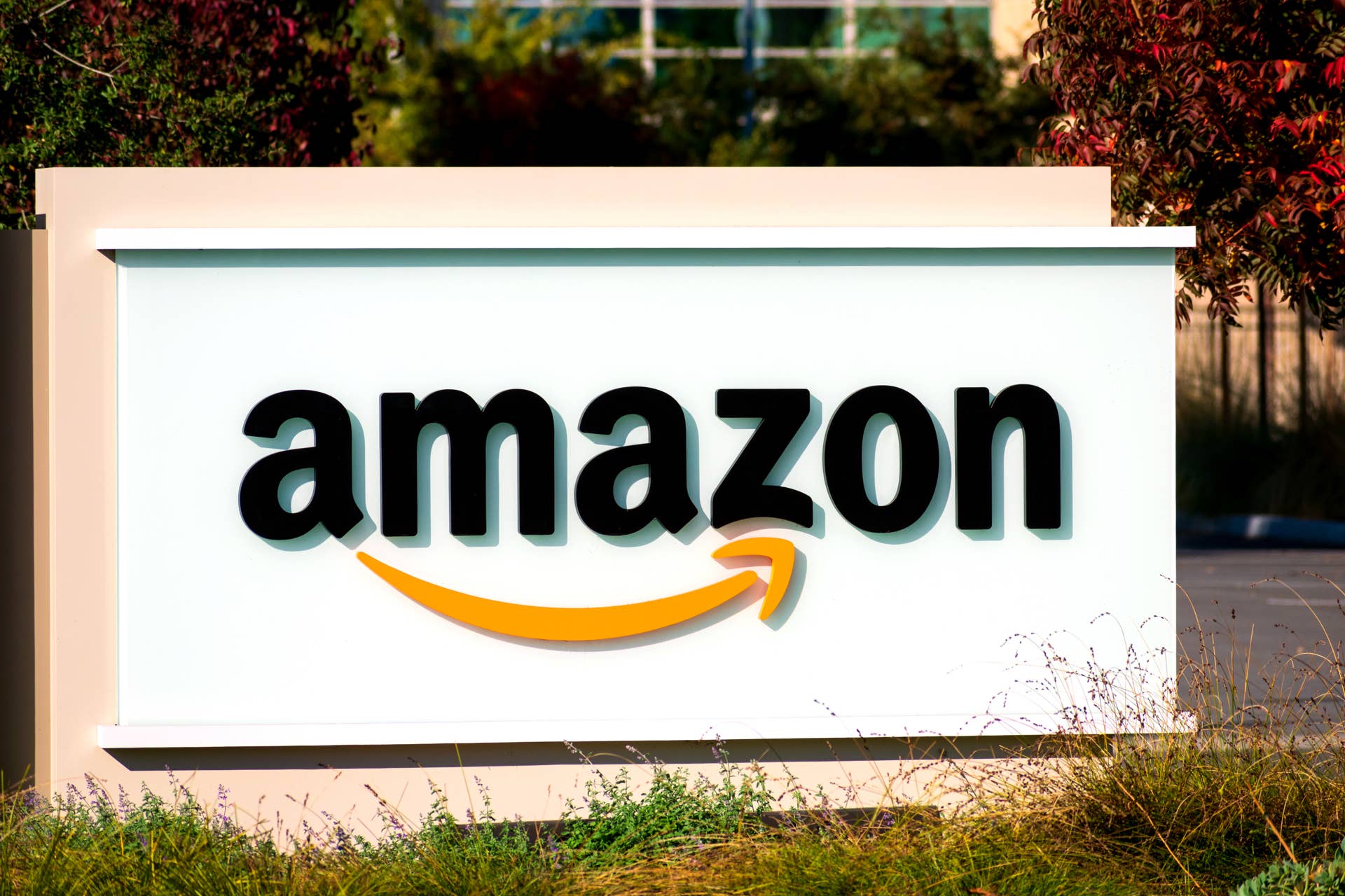 Amazon's 'Sturdy and Safe' Cat Window Perch Is Just $22 - Parade Pets