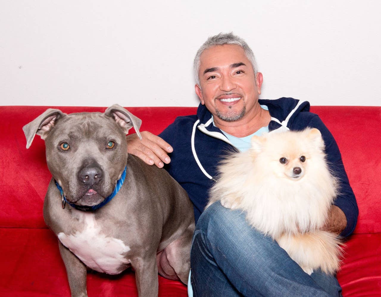 6 National Puppy Day 2026 Tips from Cesar Millan - Parade Pets