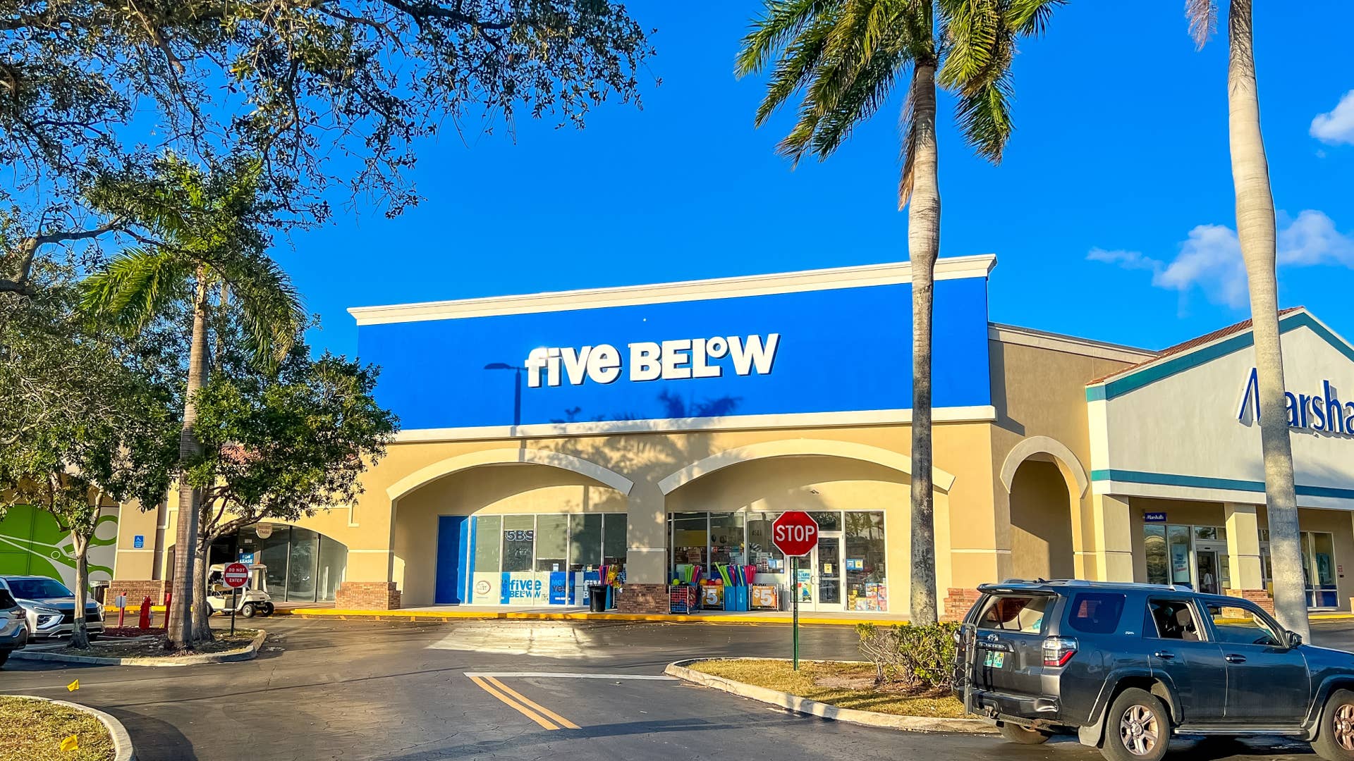 Five Below's $5 Grooming Gadget Keeps Your Dog Cool and Pampered ...