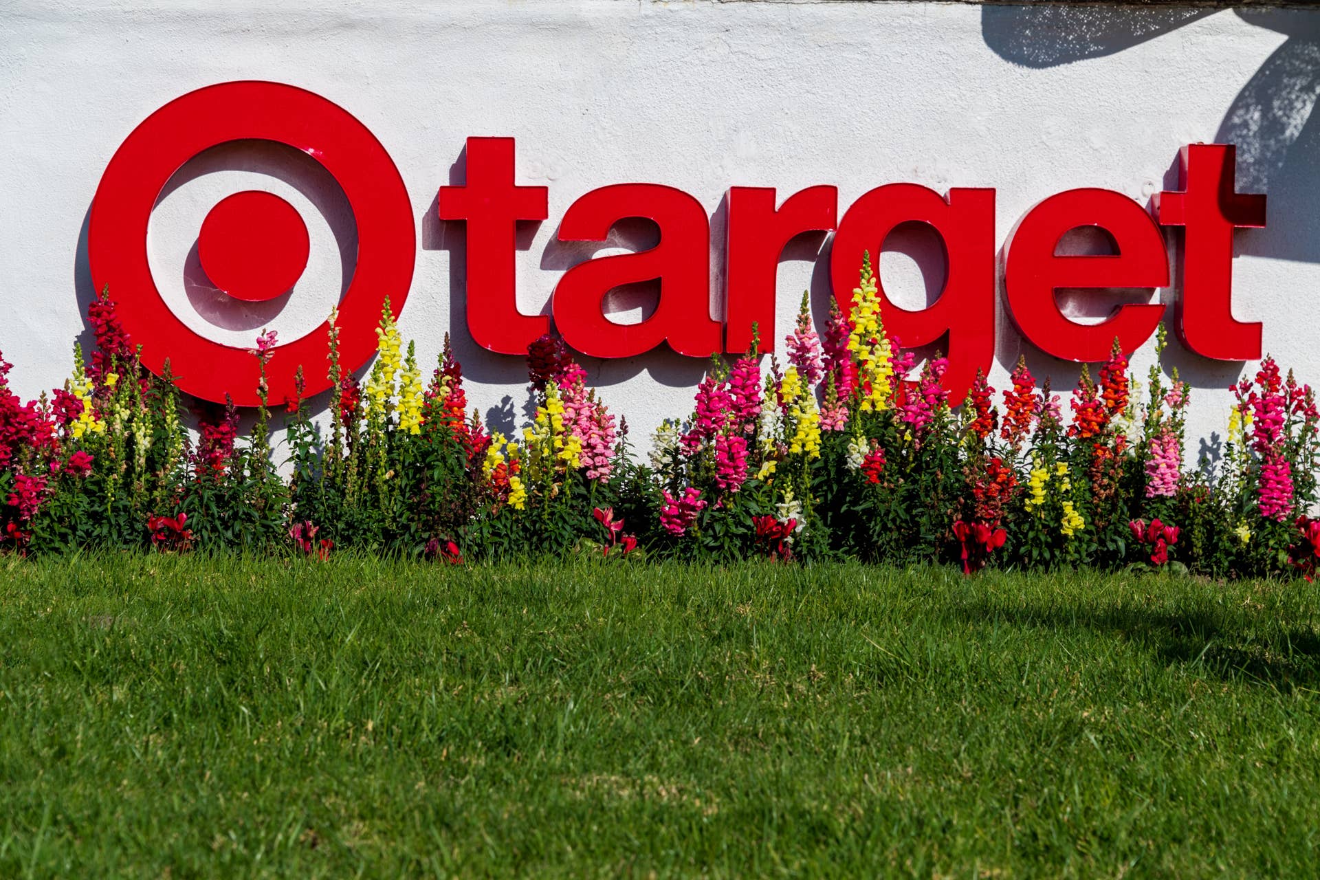 Target's Versatile Couch Table Is a Rustic, Cat-Friendly Home Upgrade