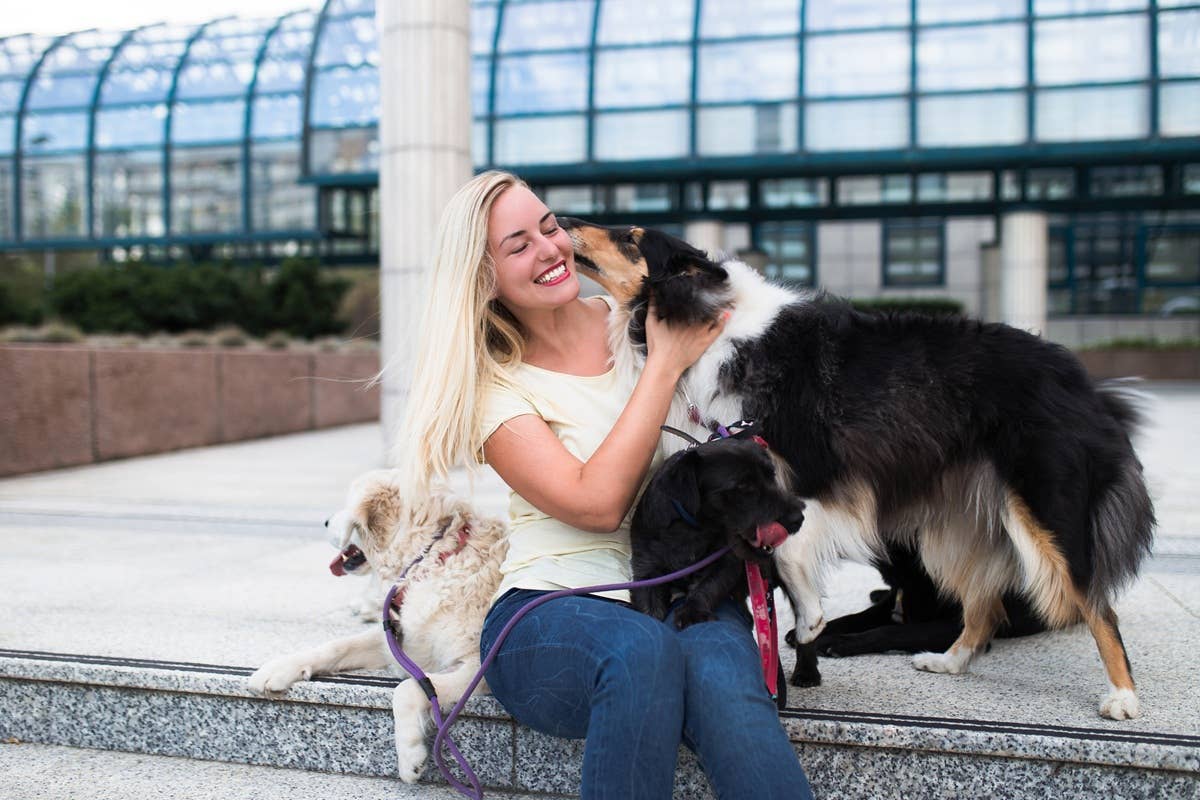 Pyramind Dog Dog Breeds That Form Strong Bonds With Women - Parade Pets