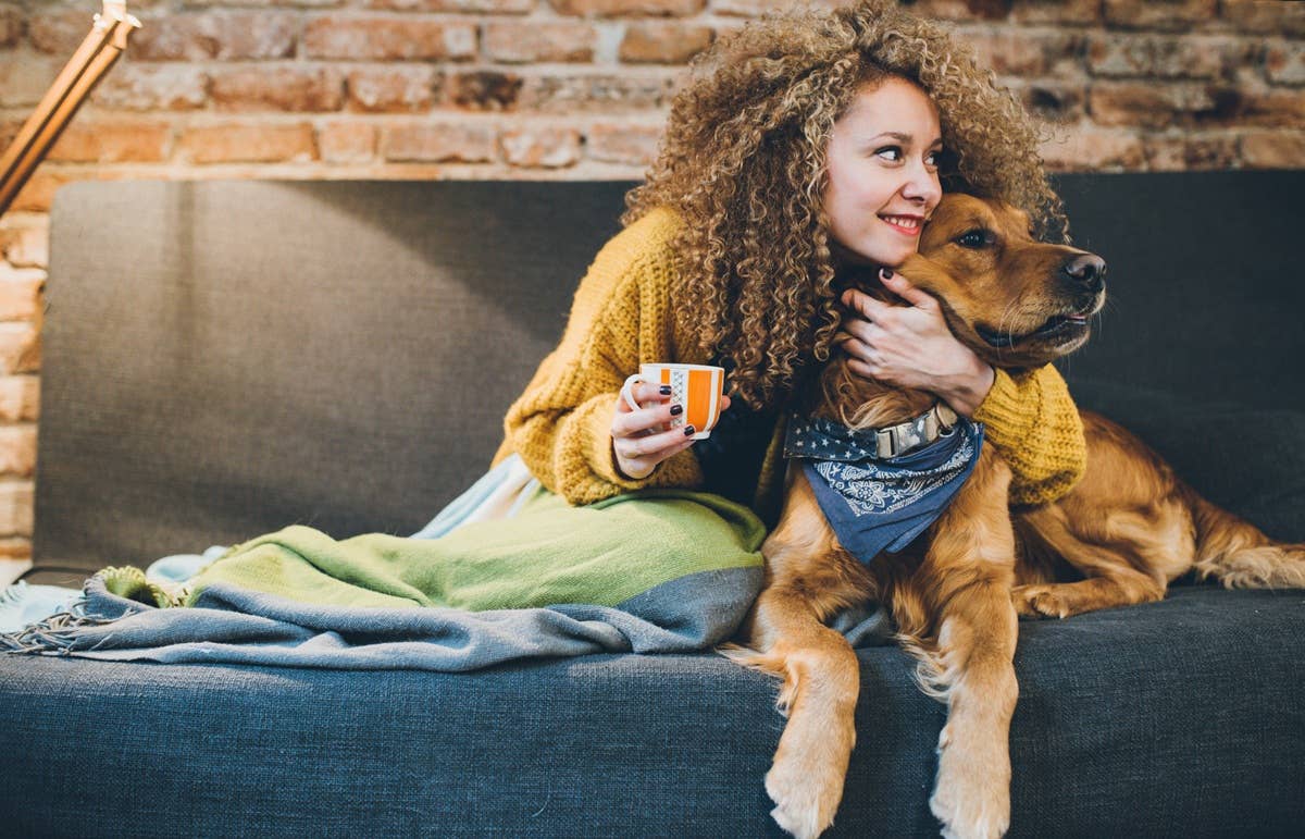 Signs You’re Losing Your Bond With Your Dog—And How to Fix It - Parade Pets