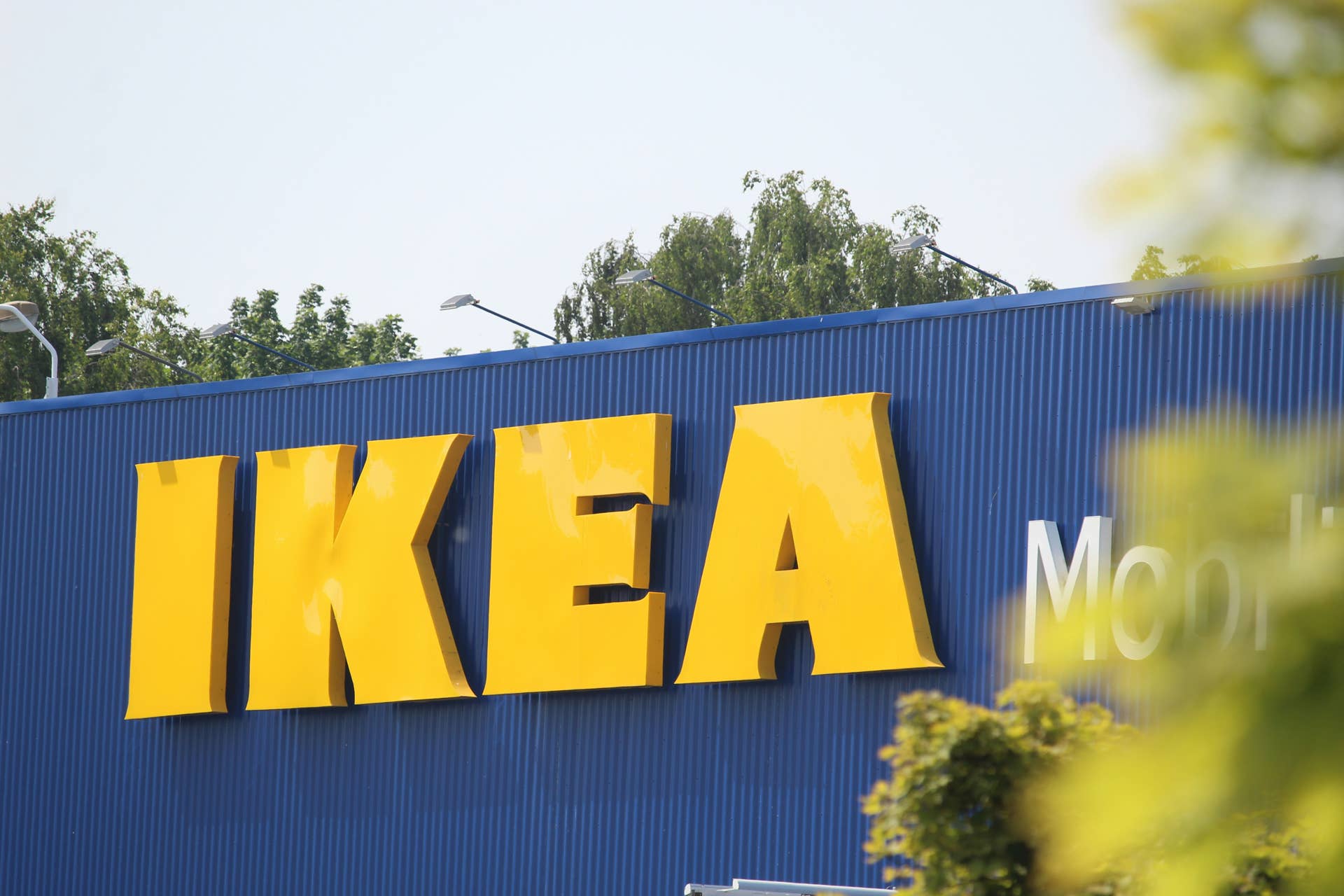 IKEA's $6 Kitchen Scoops Are Secretly the Best Cat Litter Scoopers You'll Ever O...