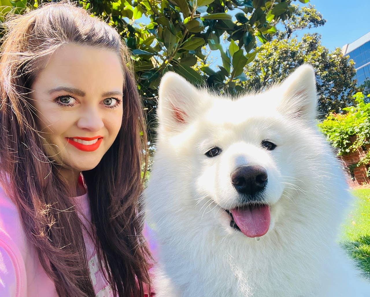My Samoyed Is the Best Dog I