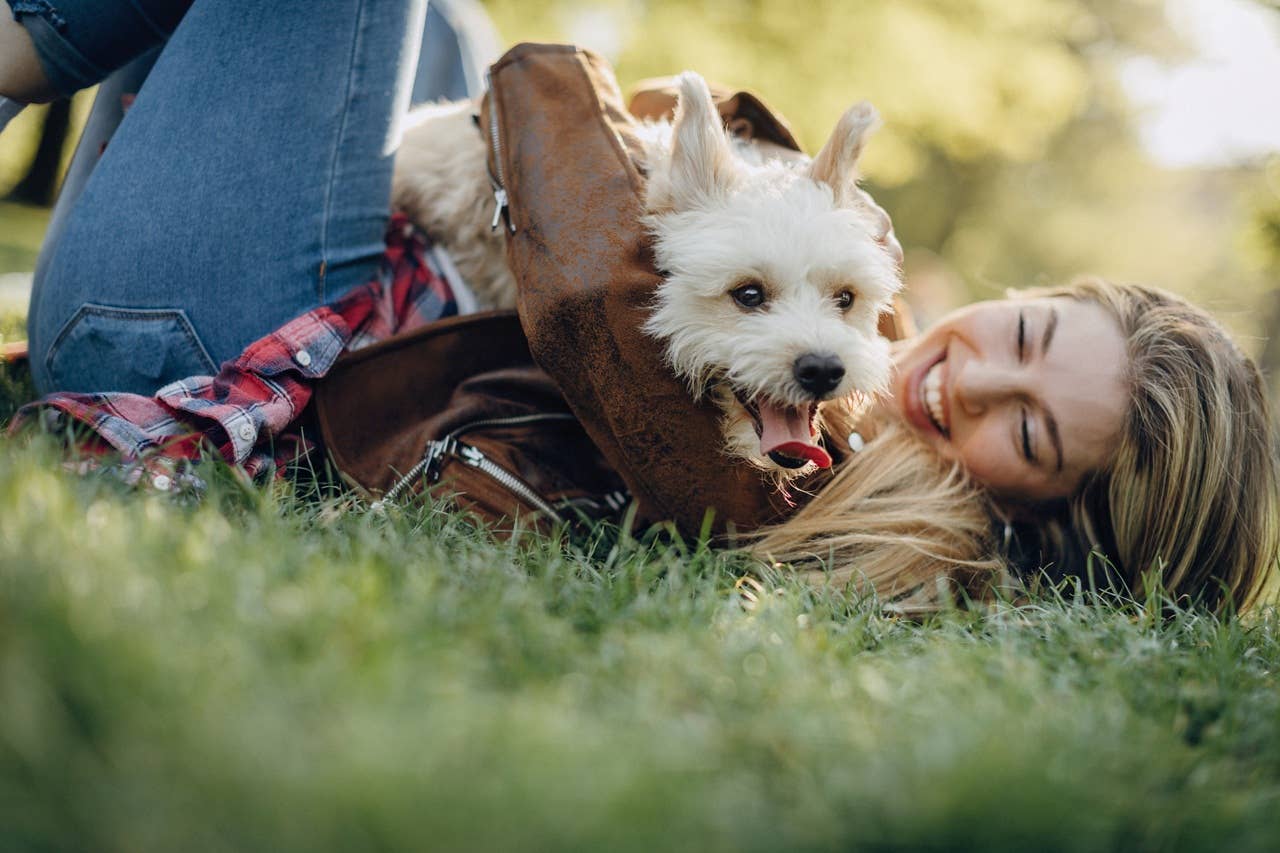 Words That Feel Like Praise to Dogs, According to a Trainer - Parade Pets