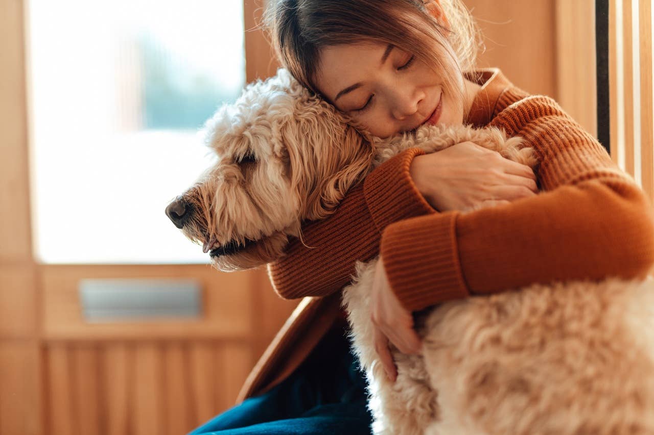 Why Your Dog Is Misbehaving, According to 3 Dog Trainers - Parade Pets