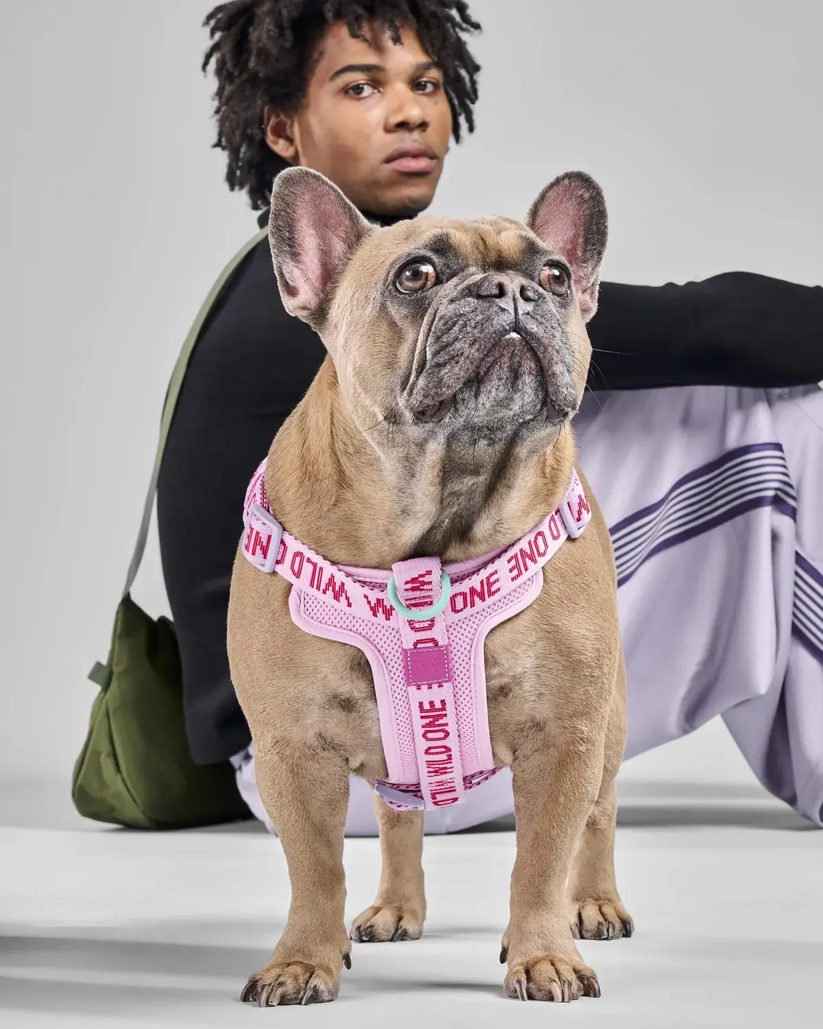 Wild One’s Step-In Harness Takes the Fuss Out of Dog Walks - Parade Pets