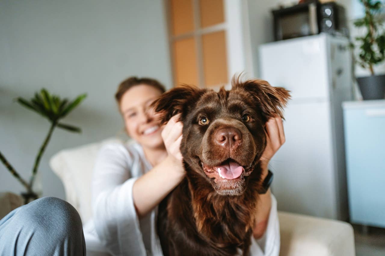 7 Words and Phrases That’ll Make Your Dog Feel Happy and Confident, Say Experts