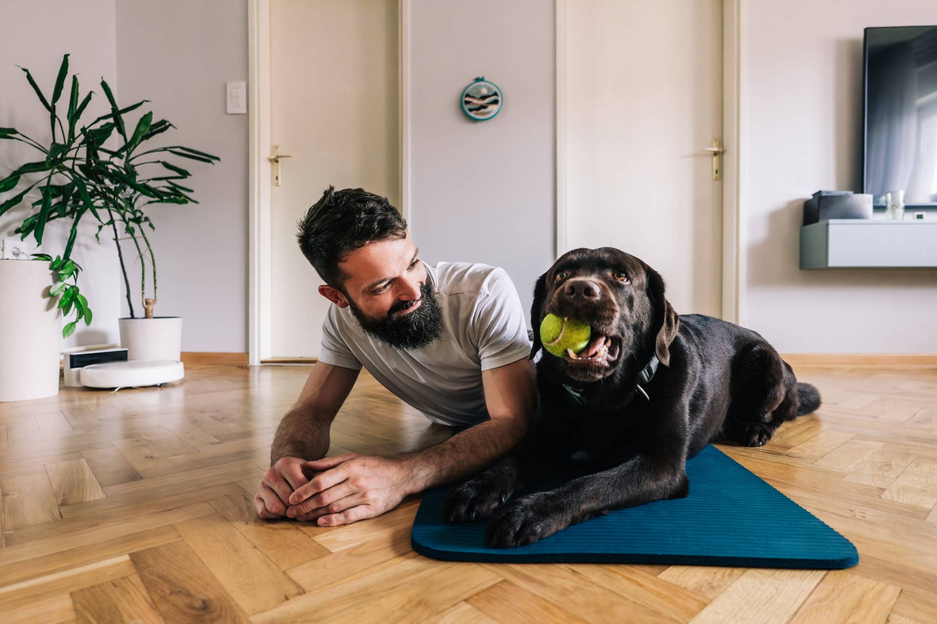 How to Transition Your Dog's Exercise Routine to Fall - Parade Pets