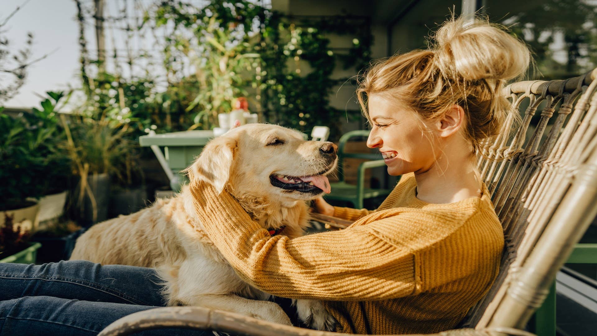 Pyramind Dog 7 Heartfelt Ways a Shelter Dog Says, “I Want You in My Life” - Parade Pets