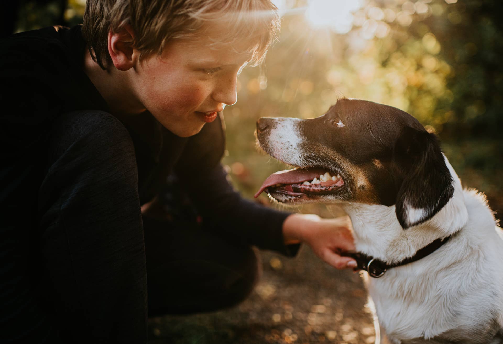 Pyramind Dog How Much Do Dogs Really Understand Us? A New Study Reveals the Answer ...