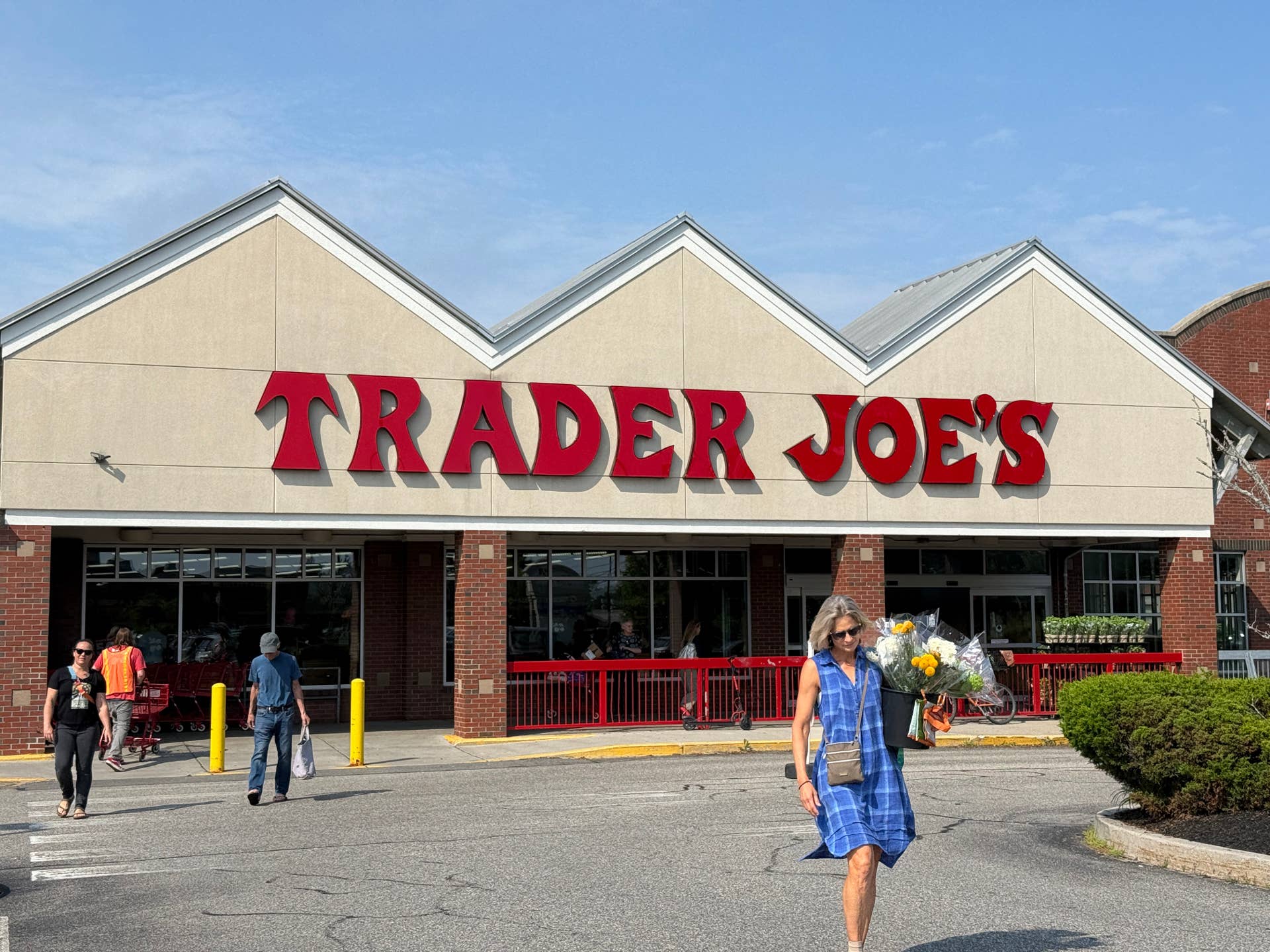 Pyramind Dog Trader Joe's Just Dropped Fall Waffle Dog Treats - Parade Pets