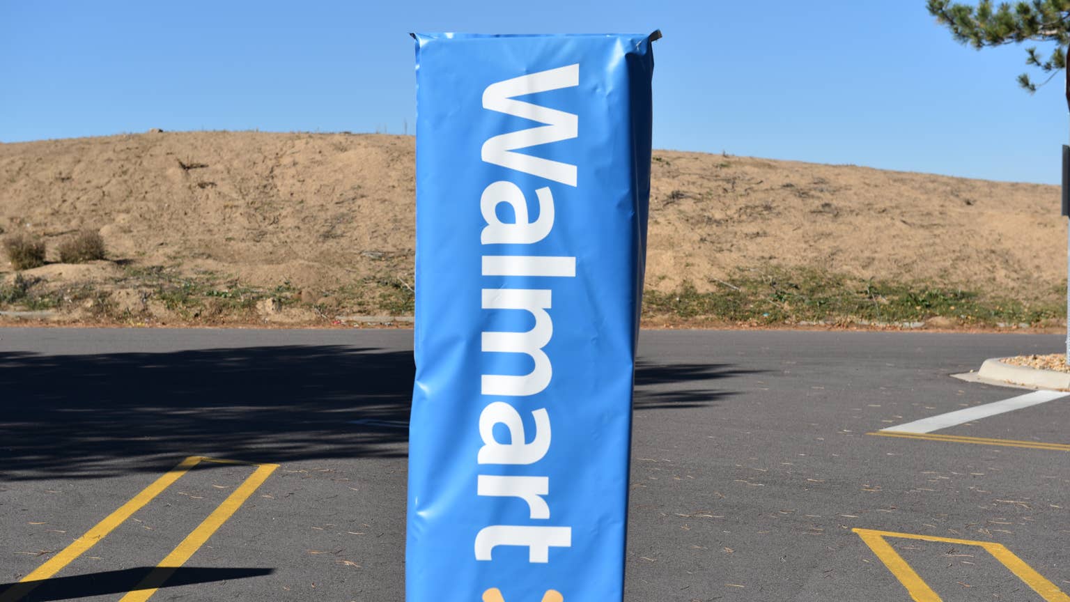 Wlmart Signs Walmart's Dachshund-Shaped Planter Adds a Playful Touch - Parade Pets