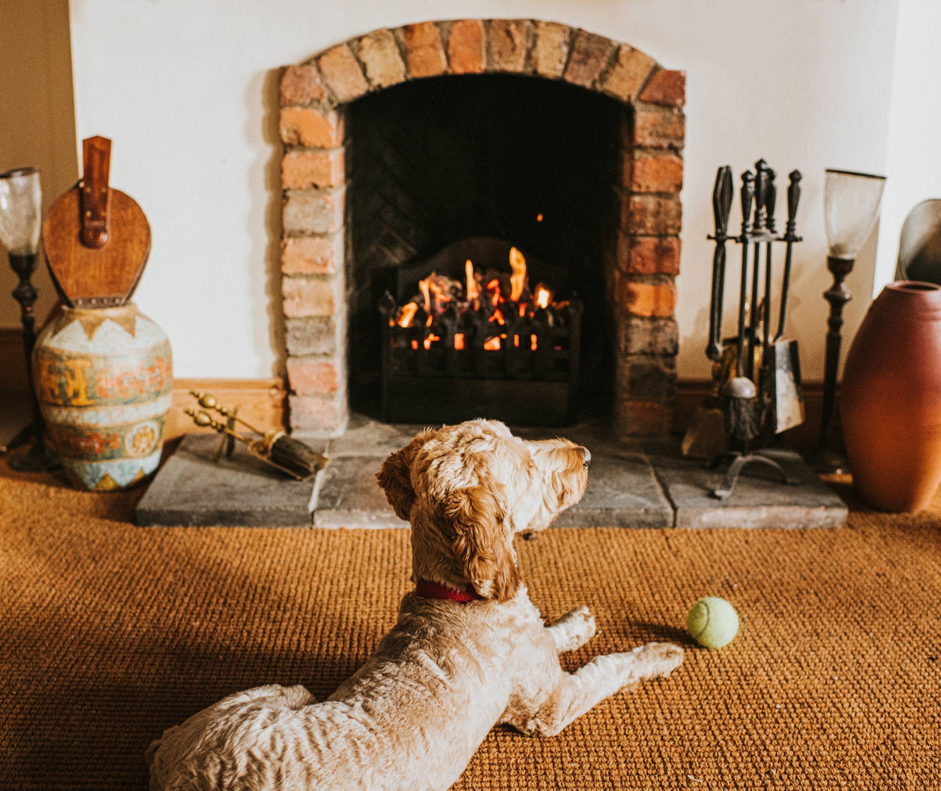 How to Keep Your Dog Safe Around Fireplaces and Space Heaters - Parade Pets