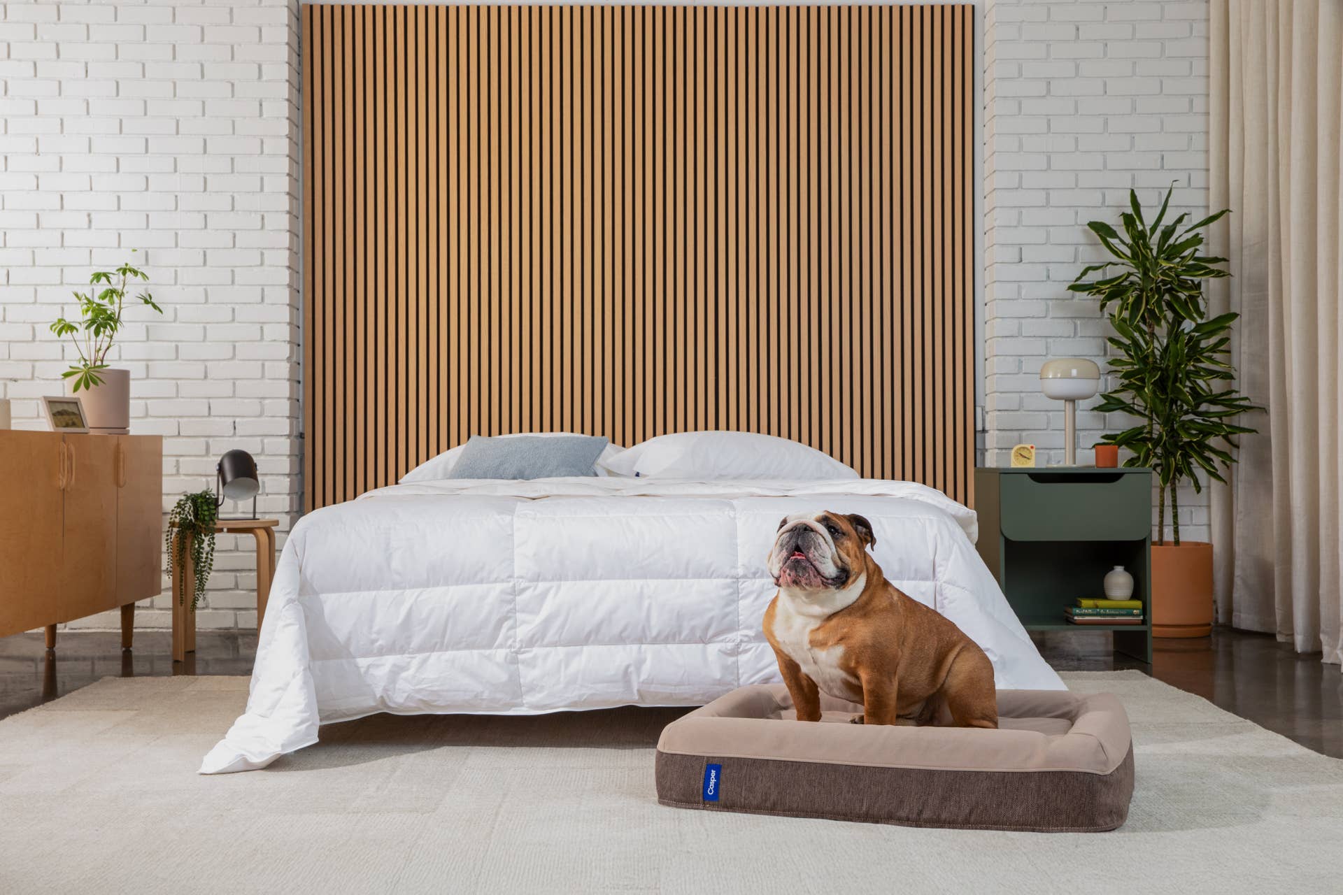 Why Casper’s Memory Foam Dog Bed Is Worth the Splurge - Parade Pets