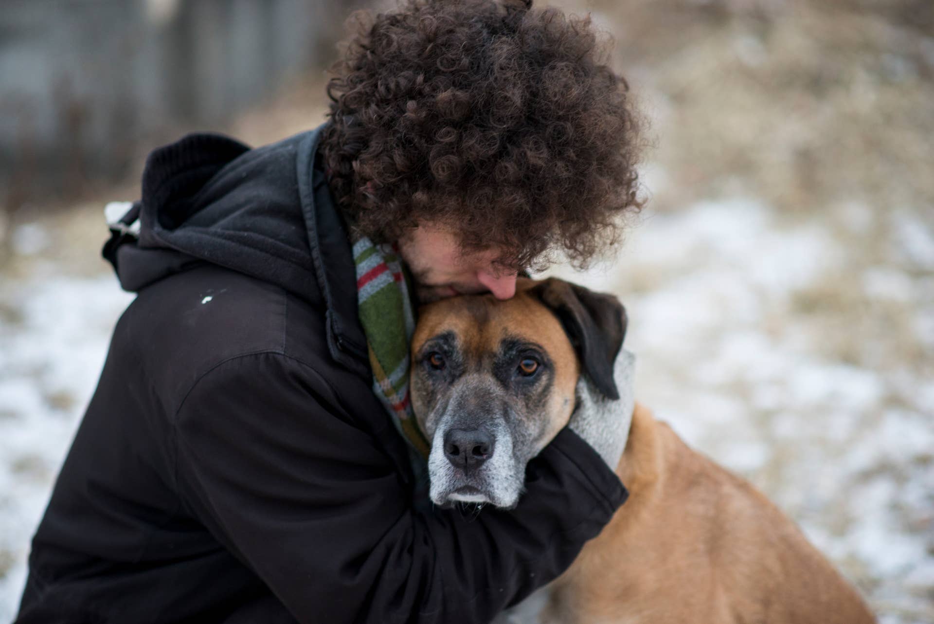 Senior Dog Cold-Weather Joint Pain Warning Signs to Know - Parade Pets