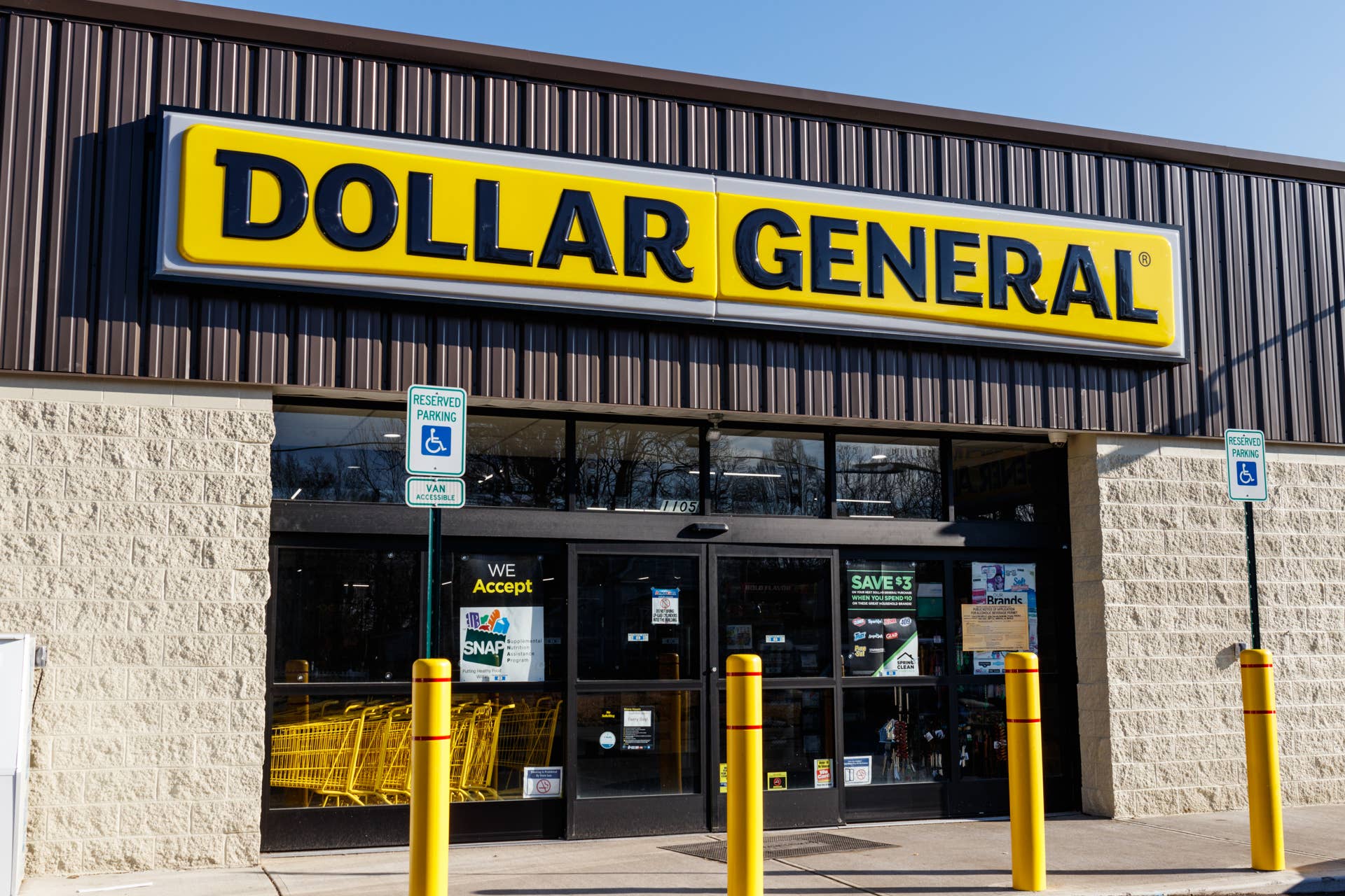 Dollar General’s $10 Dog Pillow Serves Up a Neapolitan Trio of Christmas Pups