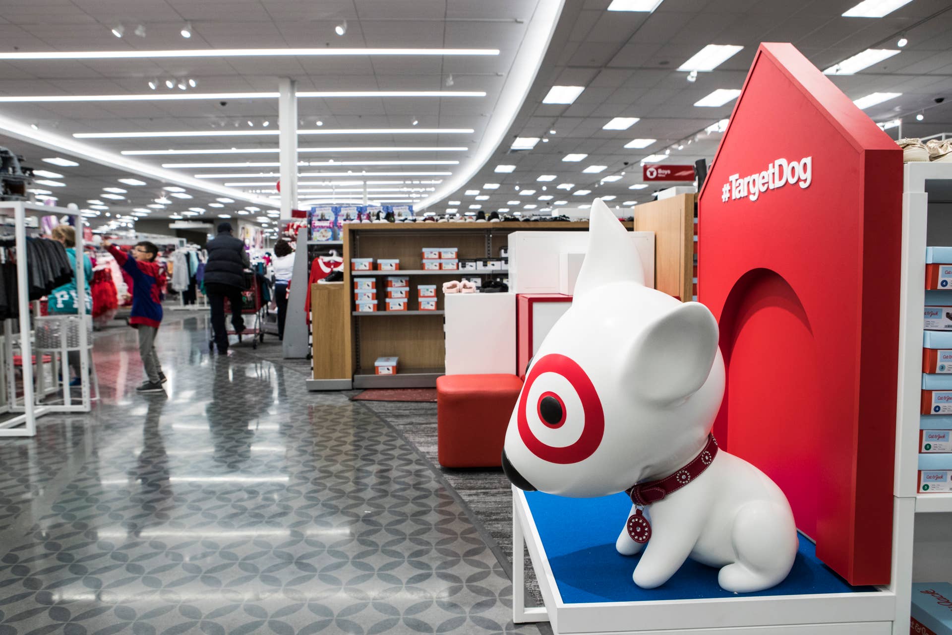 Target’s $4.20 Glitter Bat Wings Cat Costume Is a Cute Find - Parade Pets