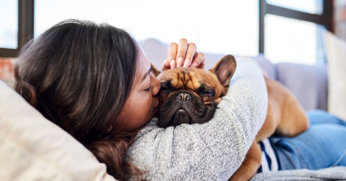 How To Speak Your Dog's Love Language, According to Trainers - Parade Pets