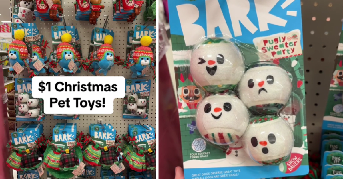 Pet Parents Can Snag LastMinute Holiday Pet Toys at Target for 1