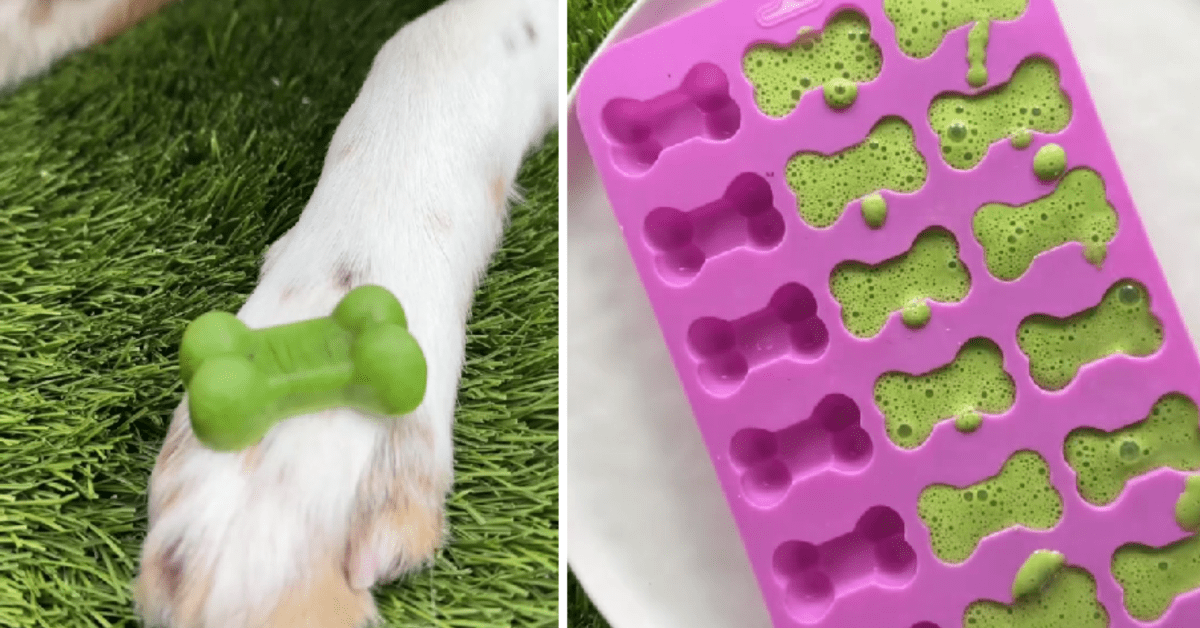 DIY Breath Mints for Dogs Couldn't Be Easier to Make at Home Parade Pets