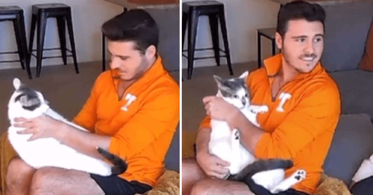 Couple's Funny Mix-Up With the 'Wrong Cat' Goes Viral - Parade Pets