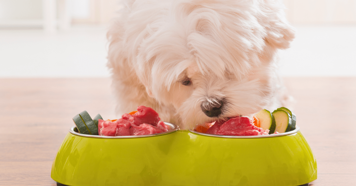 Vet recommended homemade dog food cheap
