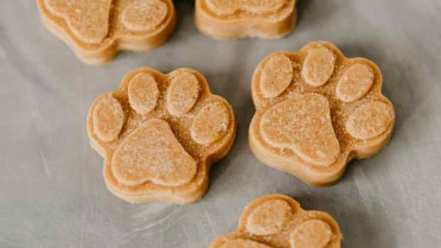 Beat the summer heat with these homemade frozen treats for your furry  friend! 🐾🍦 Try out this easy Dog Popsicle recipe and watch your…