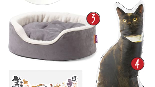 14 Best Pet Gifts—Gifts for Dog & Cat Lovers - Parade Pets