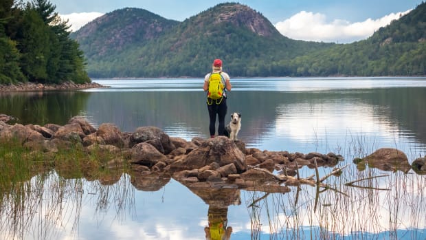 Hiker and dog at Acadia